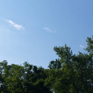 杨思敏一级婬片A片
