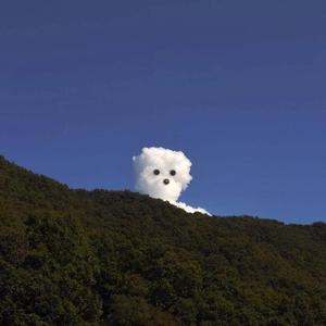 杨思敏一级婬片A片
