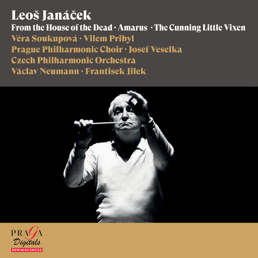 杨思敏一级婬片A片
