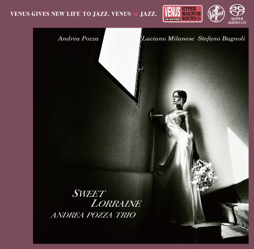 杨思敏一级婬片A片
